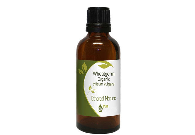OiloHerb Wheatgerm Oil – natural hydration & skin revitalization