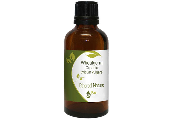 OiloHerb Wheatgerm Oil – natural hydration & skin revitalization