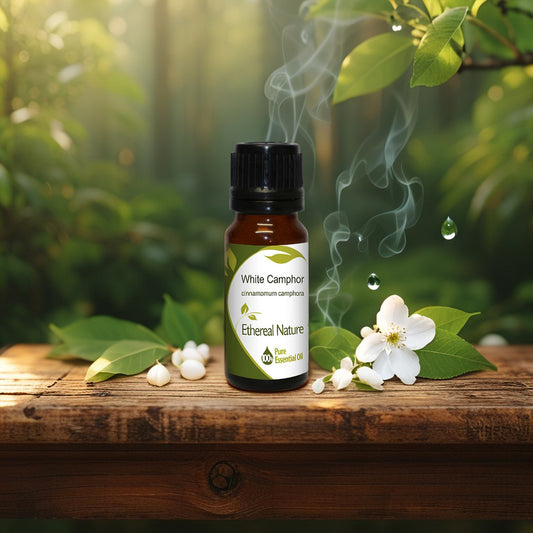 Καμφορά Λευκή Αιθέριο Έλαιο – Δύναμη Ανακούφισης & Αναζωογόνησης - OiloHerb