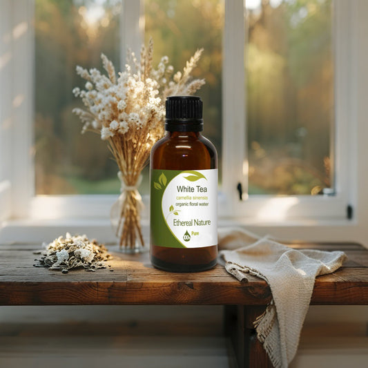Organic White Tea Hydrosol – Natural antioxidant skincare solution