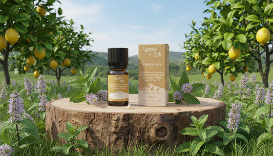 Agnes + Cat Windermere Lemon Tea Tree Mint Essential Oil Blend