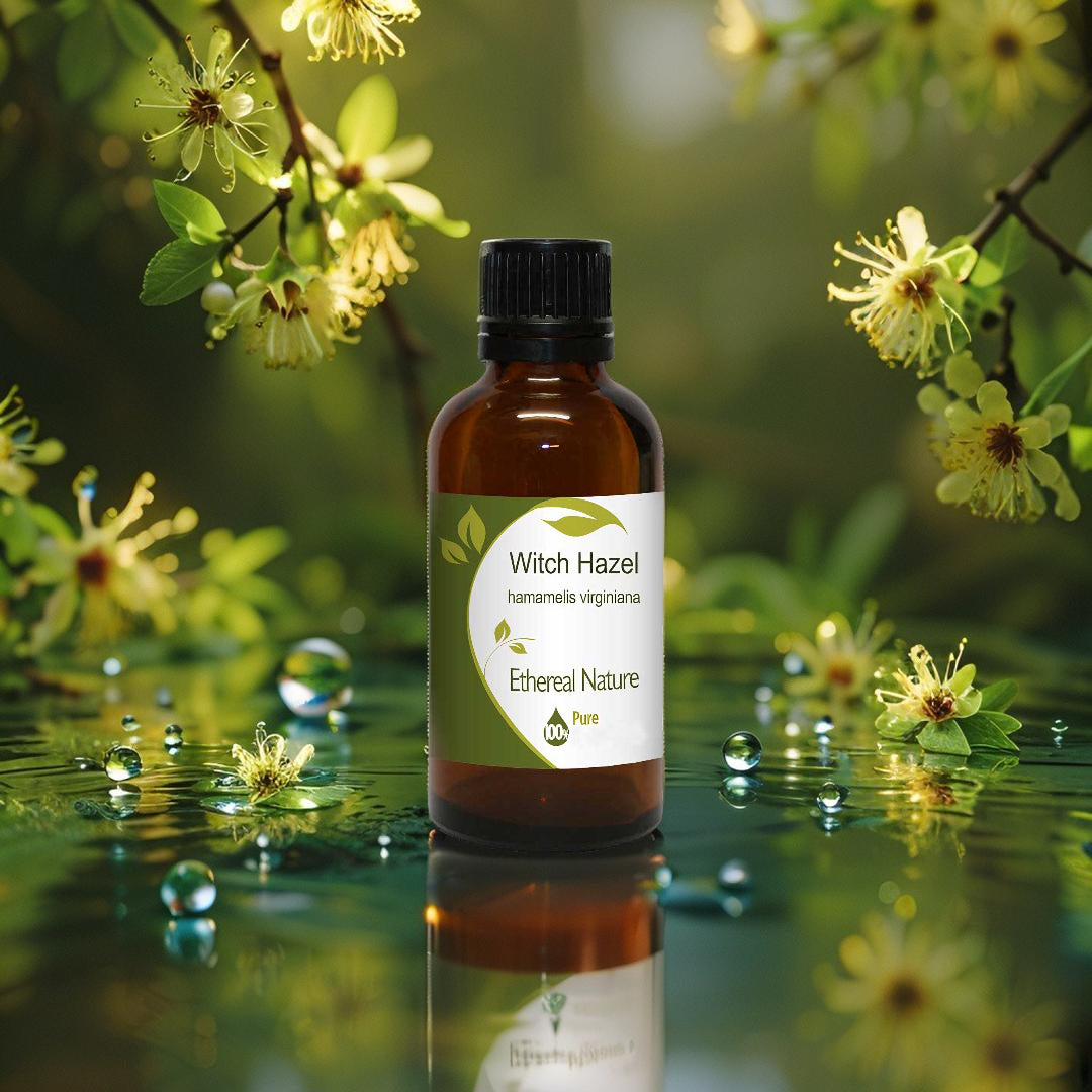 Oiloherb Witch Hazel Oil in amber bottle with herbal plant extract