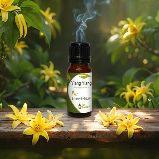 OiloHerb Ylang‑Ylang Essential Oil bottle with sweet floral aroma