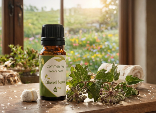 Ivy extract for natural cosmetics targeting cellulite and skin firming