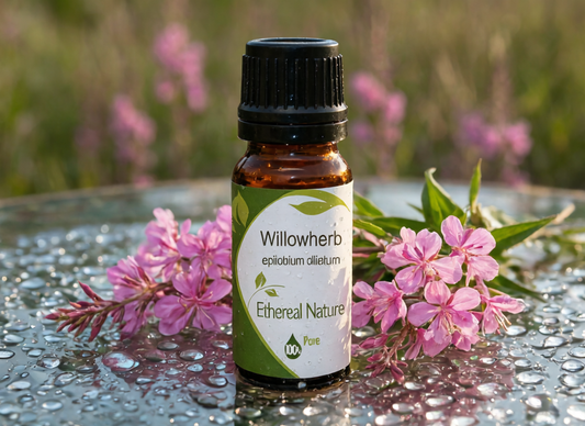 Εκχύλισμα Επιλόβιο (Willowherb) - Φυσικό Συστατικό για Λιπαρό & Προβληματικό Δέρμα - OiloHerb