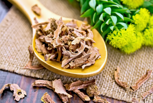 Adaptogens: Τι είναι και γιατί τα χρειάζεσαι