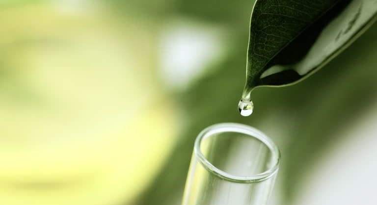 Natural vs Synthetic Ingredients: Τι να Επιλέξεις;