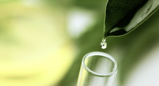 Natural vs Synthetic Ingredients: Τι να Επιλέξεις;