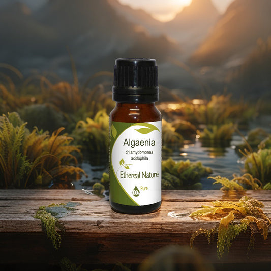 Algaenia peptide serum – soothing sensitive skin
