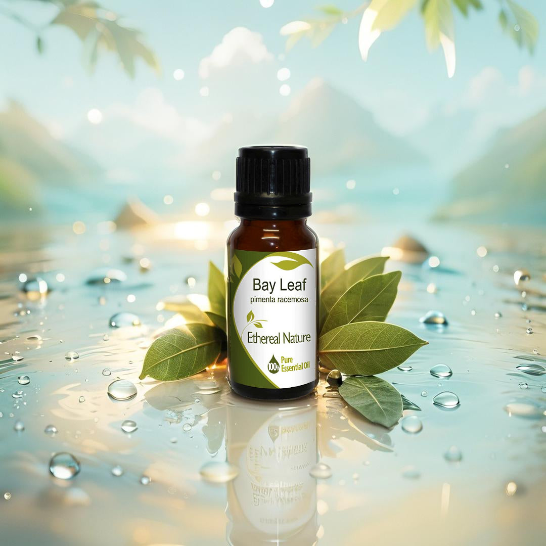 Bay Leaf Essential Oil – Nature’s Inner Strength