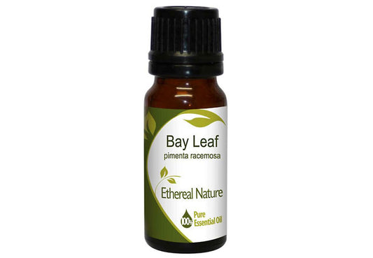 Bay Leaf Essential Oil