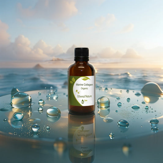 Bio Marine Collagen – Sea’s Miracle for Youthful Skin