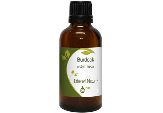 Burdock Oil: A Natural Powerhouse for Hair Growth, Hair Loss & Skin Wellness