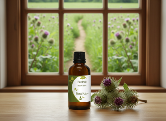 Burdock Oil: A Natural Powerhouse for Hair Growth, Hair Loss & Skin Wellness
