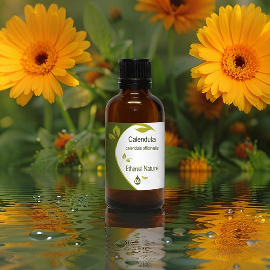 Natural calendula oil OiloHerb