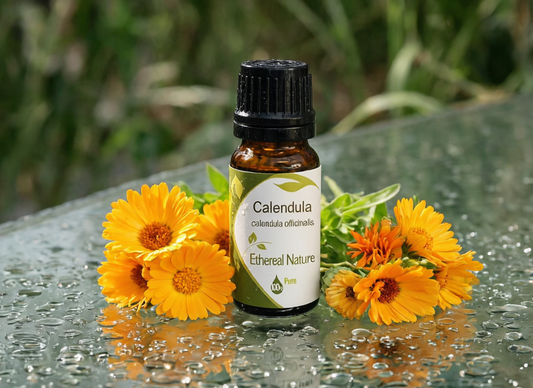Εκχύλισμα Καλέντουλας - Φυσικό Καταπραϋντικό & Επουλωτικό Συστατικό Καλλυντικών - OiloHerb