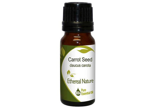 Carrot Seed Essential Oil