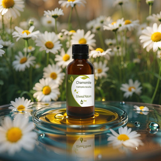 Natural chamomile oil for skin hydration and soothing