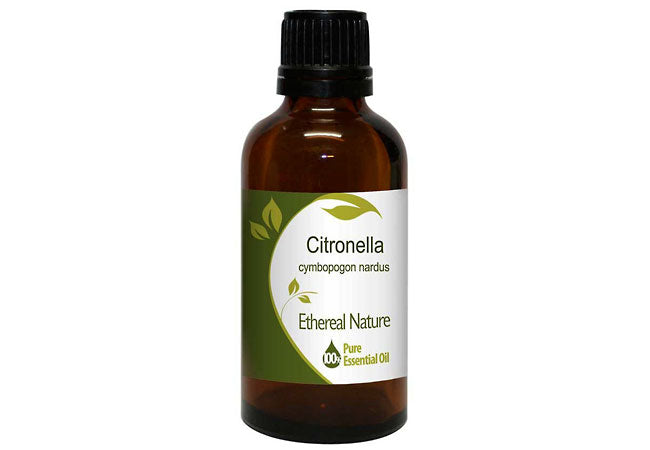 Citronella essential oil