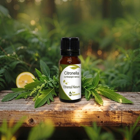 Citronella Αιθέριο Έλαιο – Φυσικό Εντομοαπωθητικό & Καθαριστικό - OiloHerb
