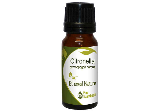 Citronella essential oil