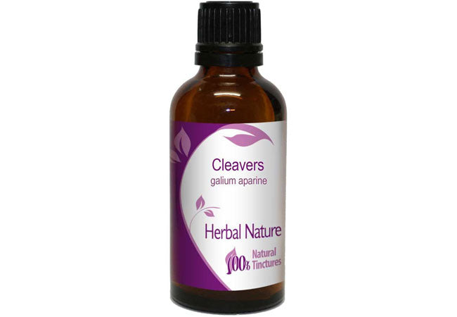 Cleavers tincture Galium aparine herbal lymphatic support extract