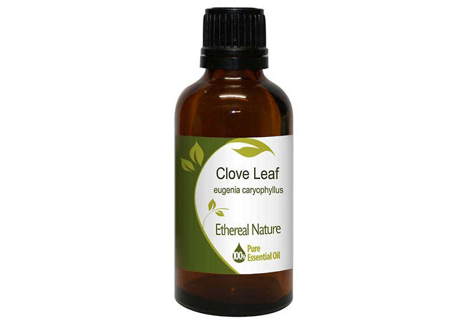 Clove Leaf