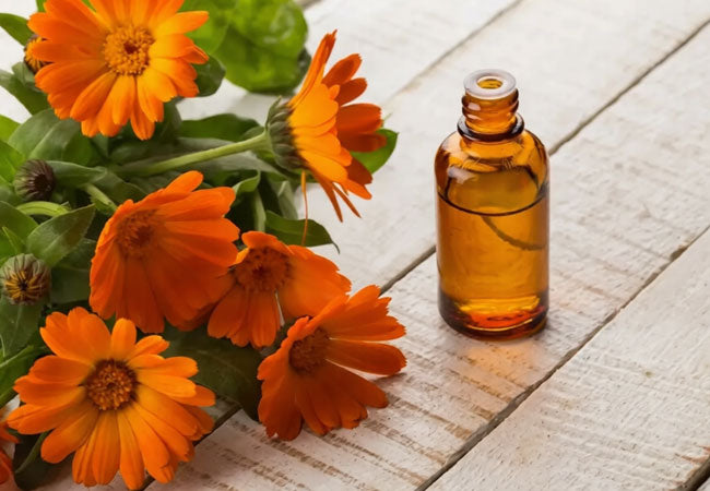 DIY Herbal Oil Starter Kit  (Για Αρχάριους) - OiloHerb