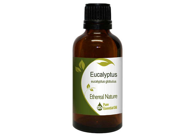 Eucalyptus essential oil