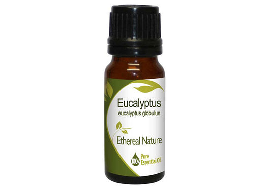 Eucalyptus essential oil