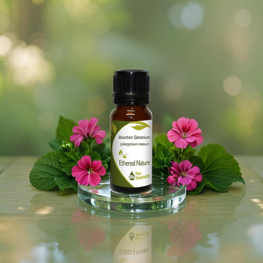 Geranium Bourbon Essential Oil – Natural Balance & Revitalization