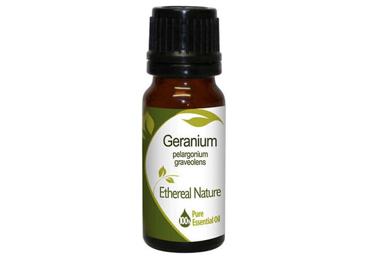 Geranium Essential Oil