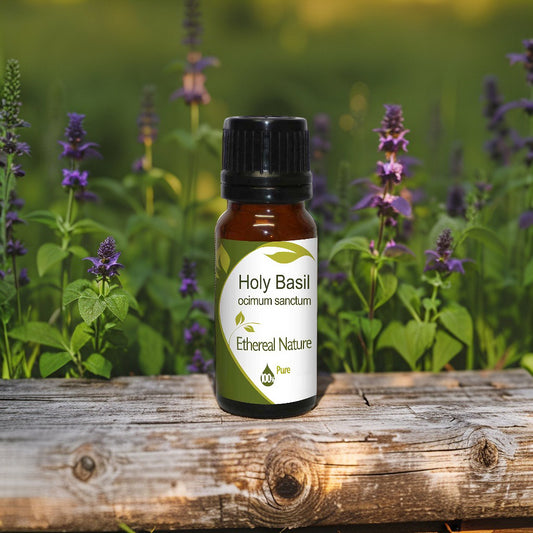 Holy Basil Extract – Extract for Natural Antioxidant Cosmetic Formula