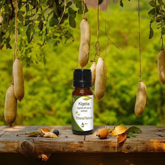 Kigelia Extract – Φυσικό Lifting Μπούστου