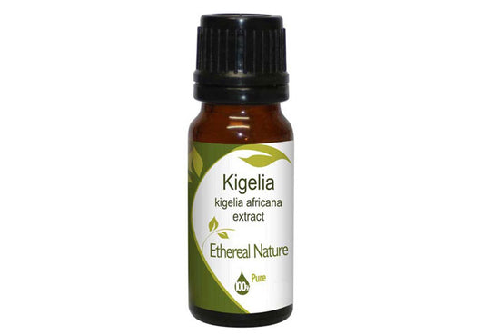 Kigelia Extract