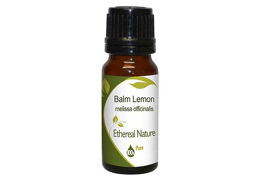 Lemon Balm Extract