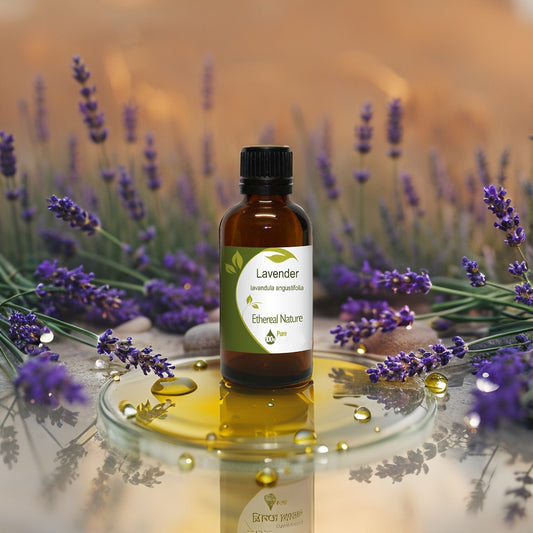 Pure lavender oil | Relaxation & Wellbeing