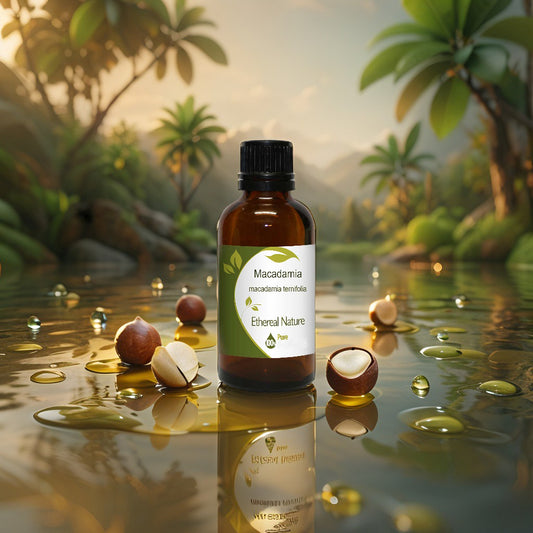 Καθαρό Έλαιο Macadamia – Βαθιά Ενυδάτωση & Ελαστικότητα