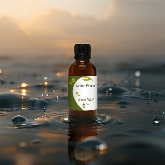 Marine Elastin – Σύσφιξη & Ελαστικότητα από τη Θάλασσα