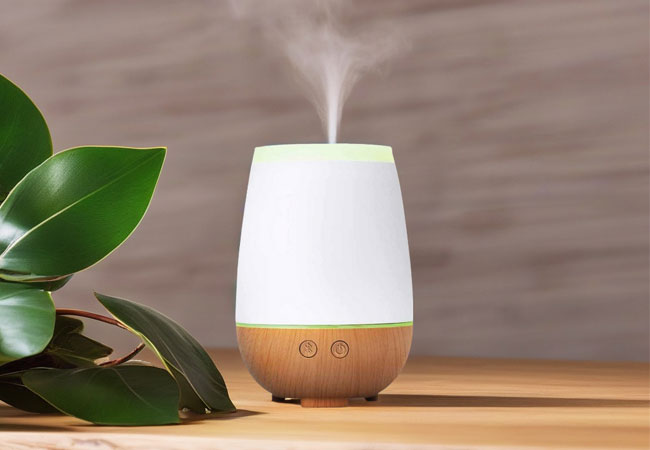 Musilia Diffuser