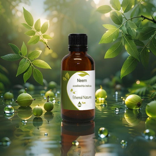 Έλαιο Neem (Azadirachta Indica) – Βαθιά Καθαριστική Δύναμη