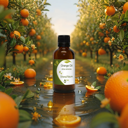 Natural Orange Oil from OiloHerb