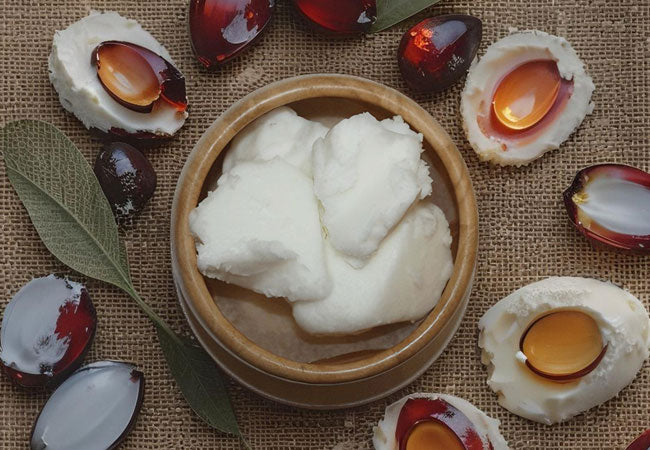 Organic Palm Butter – Natural Hydration & Nourishment for Everyone