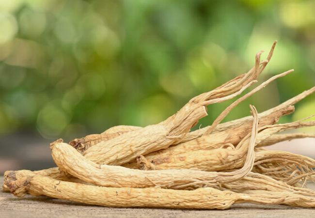 Τζίνσενγκ (Panax Ginseng) - Φυσική Ενέργεια, Αντοχή & Πνευματική Διαύγεια - OiloHerb