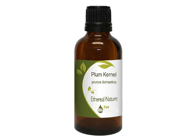 Έλαιο Πυρήνα Δαμάσκηνου OiloHerb – Αντιγήρανση & Βαθιά Ενυδάτωση - OiloHerb