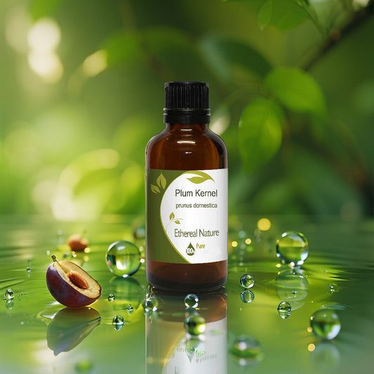 Έλαιο Πυρήνα Δαμάσκηνου OiloHerb – Αντιγήρανση & Βαθιά Ενυδάτωση - OiloHerb