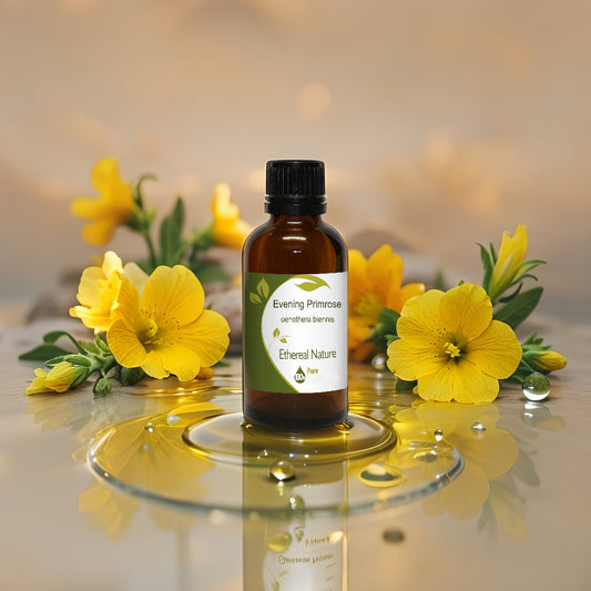Evening Primrose oil - leaves a silky, non-oily finish