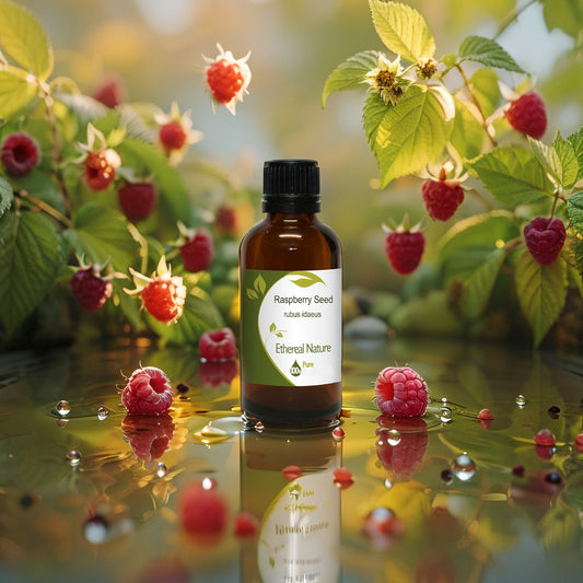 OiloHerb Natural Raspberry Seed Oil – hydration & sun defense
