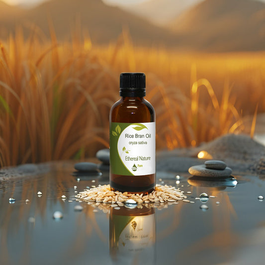 OiloHerb Rice Bran Oil – Natural oil for glowing, smooth & nourished skin