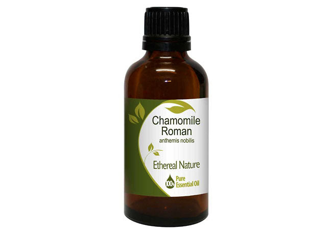 Roman Chamomile 5% in Grapeseed Oil